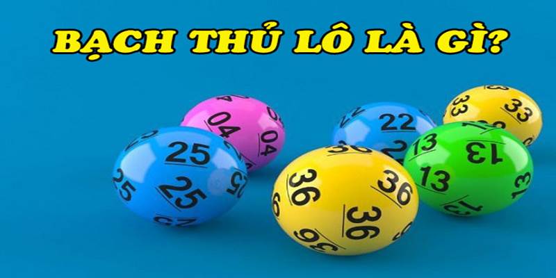 Giới thiệu sơ lược về bạch thủ lô là gì